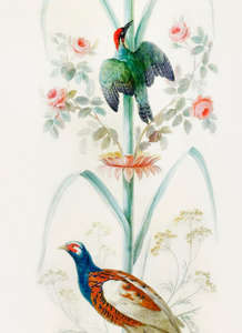 Jungle Pair